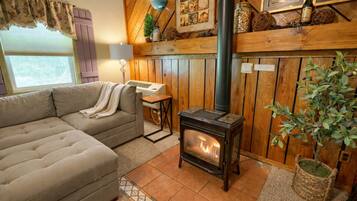 Fireplace, DVD player, books, video library