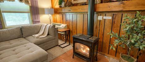 Chimenea, reproductor de DVD, libros, videoteca