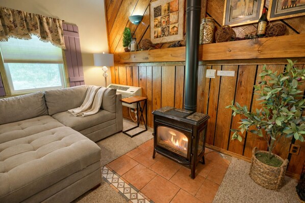 Fireplace, DVD player, books, video library