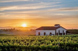 Exterior - Temecula Vineyard View Mansion-AMAZING VIEWS, Pool/Hot Tub, 10 Acres, Mini Golf (Temecula)
