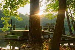 Imagen sin descripción, 3 de 76, botón