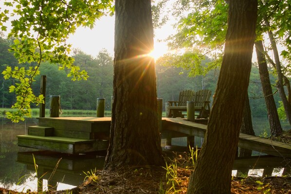 Imagen sin descripción, 1 de 74, botón
