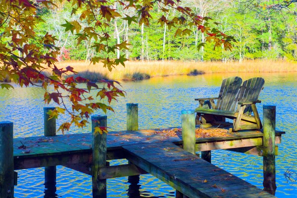 Imagen sin descripción, 1 de 76, botón