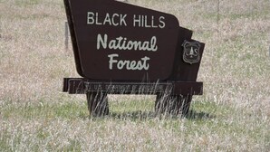 A sign for Black Hills National Forest. - Country setting near Custer, Wi-Fi, AC, pet friendly w/fee. No cleaning fee. (Custer)
