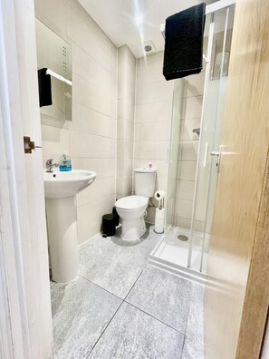 Shower, hair dryer, towels