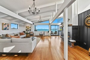 TV, fireplace, books