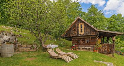 Tiny House For Two, Dragatuš, Slovenia