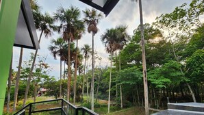 A staircase leading to a covered outdoor area with a view of tall palm trees and dense foliage. - Encanto Llanero Xkpdestinations (Villavicencio)