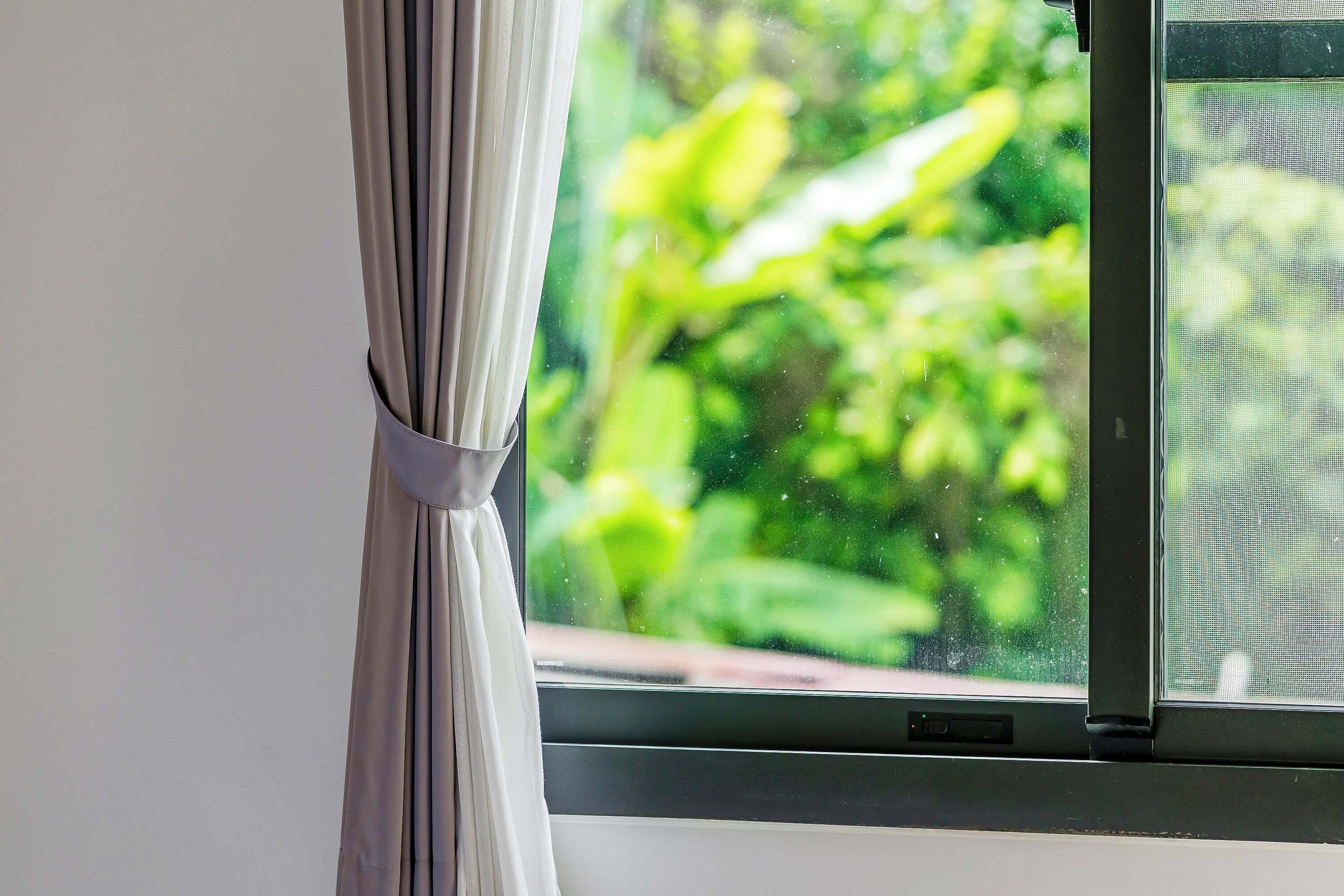 A window with a curtain tied at the top, a view of greenery outside, and a window screen.