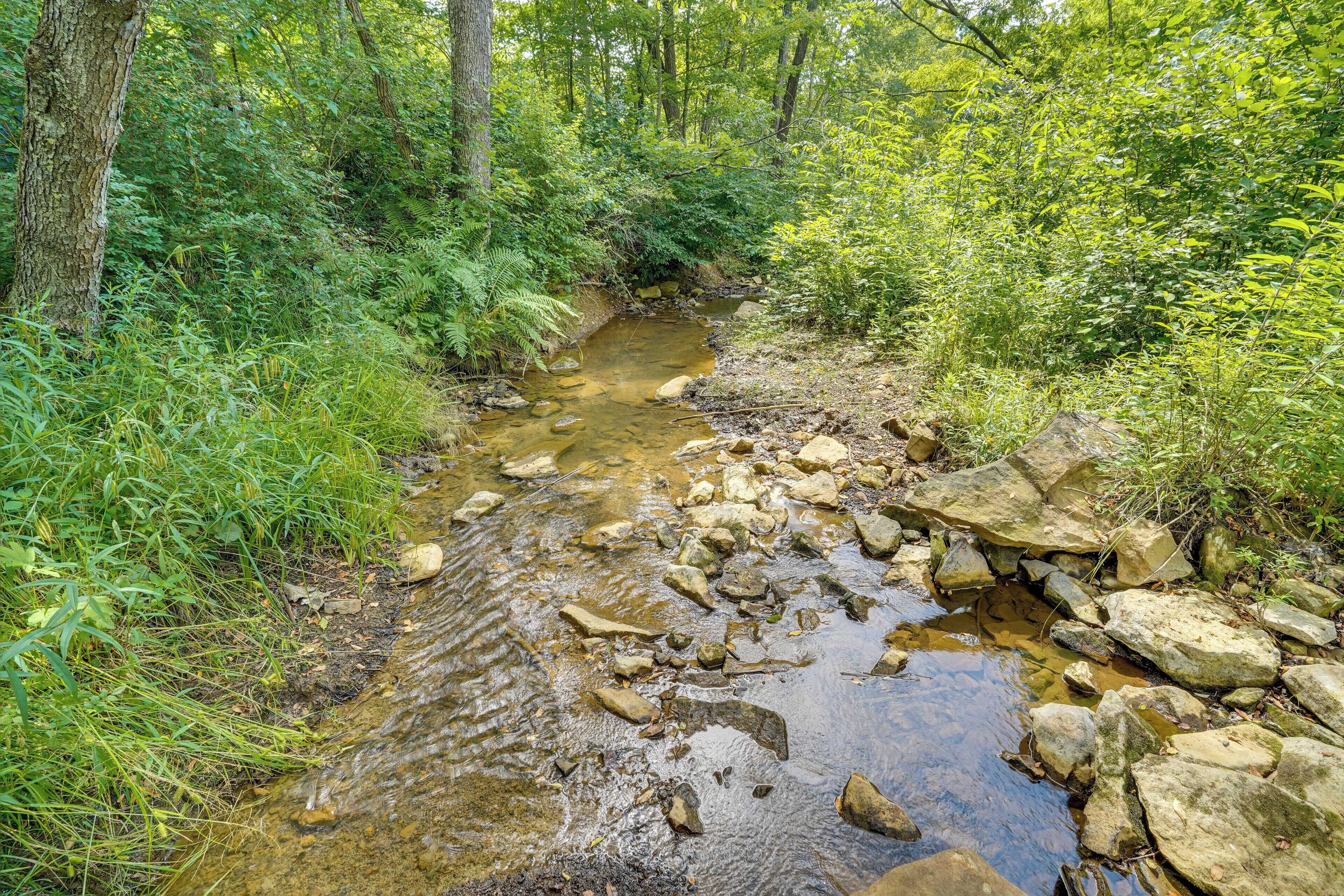 A natural stream with rocks and greenery.