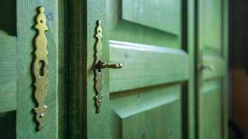 A green door with a brass handle and a decorative brass plate.