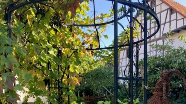 A garden with a metal pergola, a table, chairs, and pink roses. - Holiday Home 'Ferienhaus bei Juste' with Private Terrace, Shared Garden and Wi-Fi (Schotten)