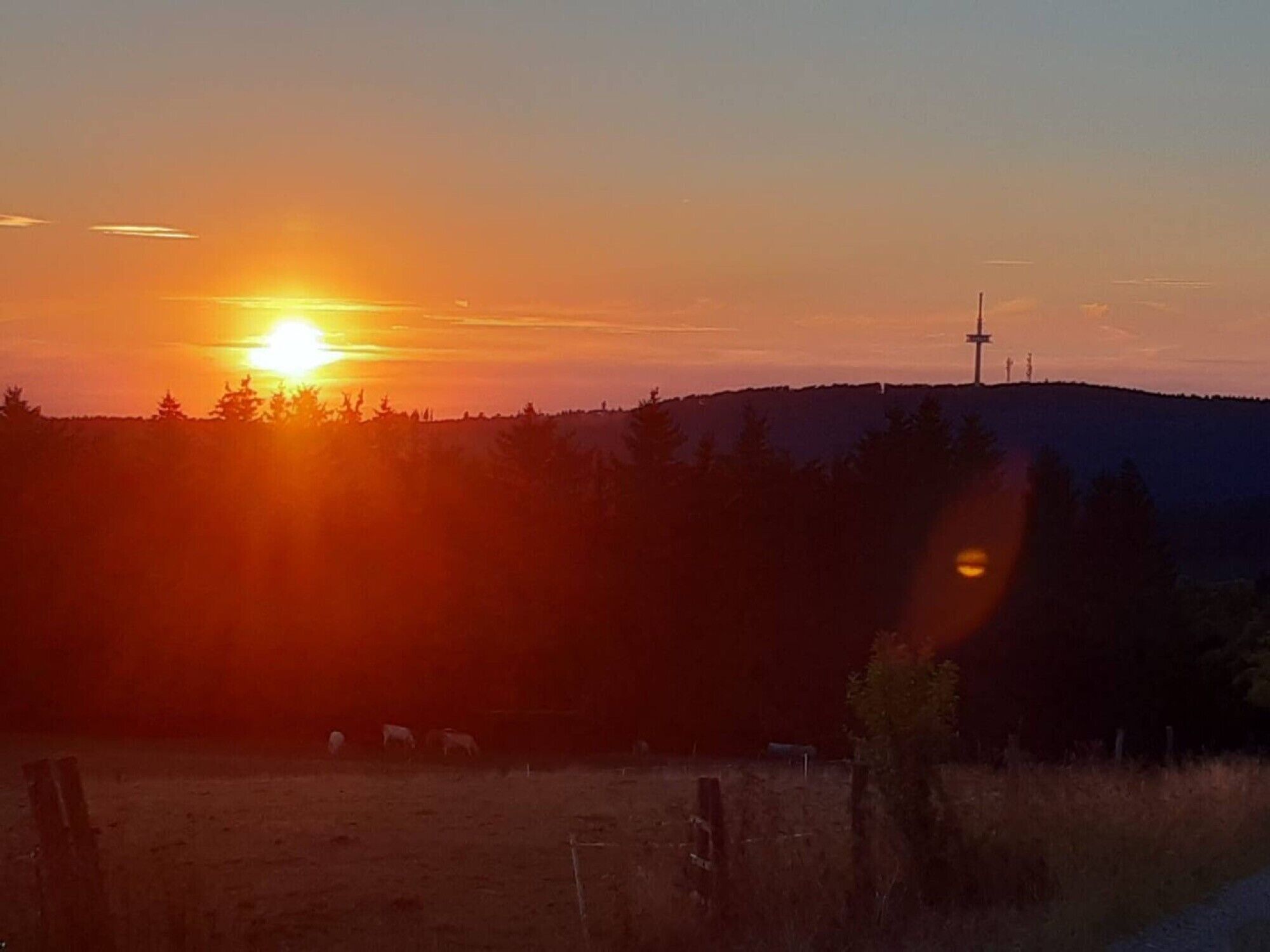 Um pôr do sol sobre uma paisagem rural com uma cruz numa colina e animais a pastar.