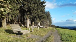 Ein Kiesweg führt zu einer Bank und Picknicktischen in einem Park mit Bäumen und einer weiten Aussicht.