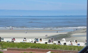Playa en los alrededores