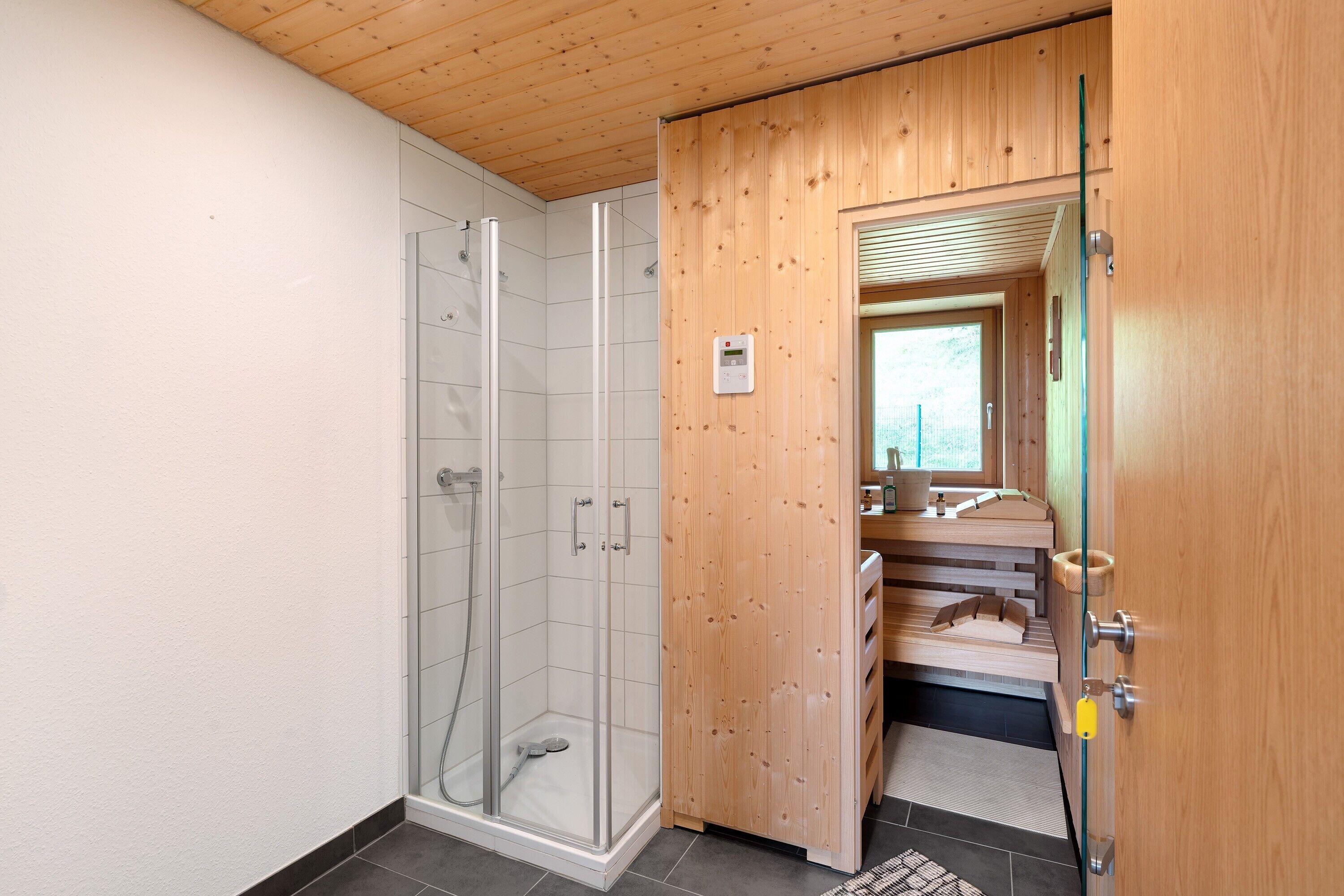 Shower, hair dryer, towels