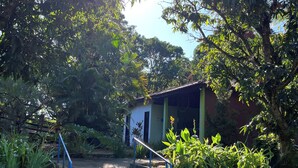 Una escalera que lleva a un edificio rodeado de abundante vegetación y árboles.