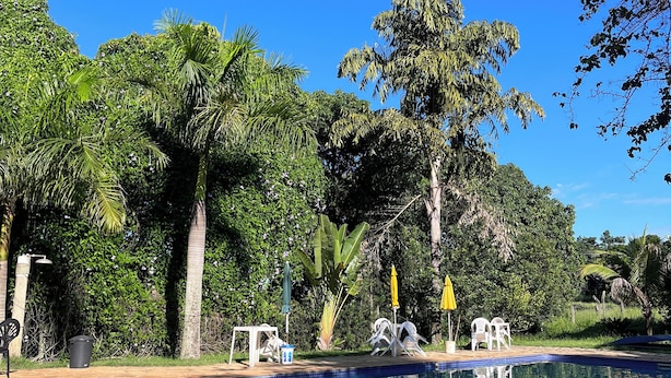 Una piscina con baldosas de piedra, rodeada de abundante vegetación y árboles.
