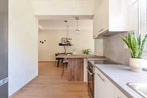 Private kitchen - Koukaki 2BR Apartment (Athina)