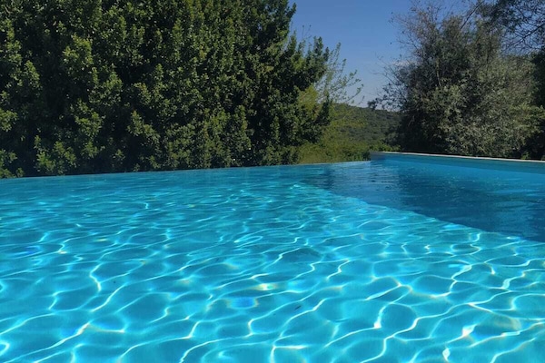 Seasonal outdoor pool, pool umbrellas, sun loungers