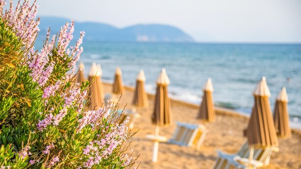 Hus