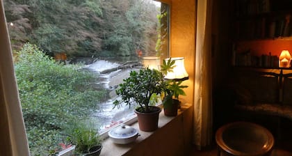 Simple escape to nature, rustic family retreat in river valley in France, YES!