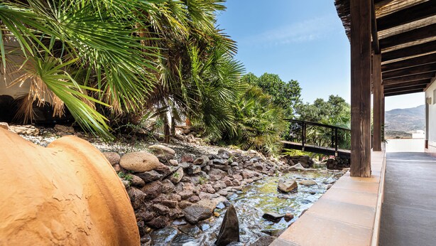 A water feature with rocks and palm trees, a stone pathway, and a wooden pergola. - El Dorado San Jose (San José)