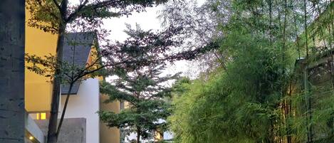 A paved pathway flanked by lush greenery and modern architecture.