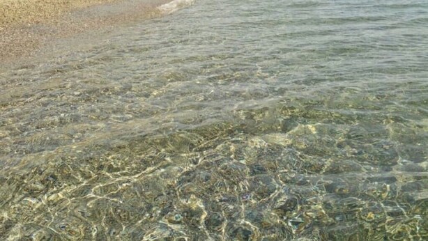On peut clairement voir une plage avec une eau peu profonde qui révèle le fond sablonneux.