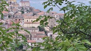 A densely packed urban area with closely built structures, likely a historic town or city center.