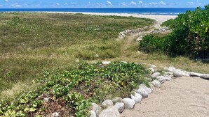 Ein Küstenpfad mit Sandstrand und grünen Wiesen, der zum Meer führt.