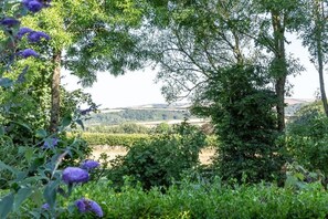 Property grounds - Brookfields (Bodmin)