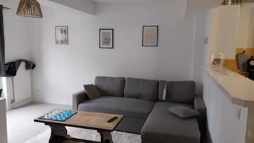 TV, books