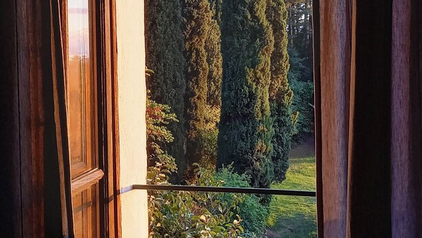 Ein Fenster mit Holzrahmen und Vorhängen, das Blick auf hohe Bäume und eine Rasenfläche bietet.