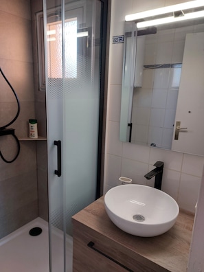 Regadera, secadora de cabello, jabón, papel de baño 