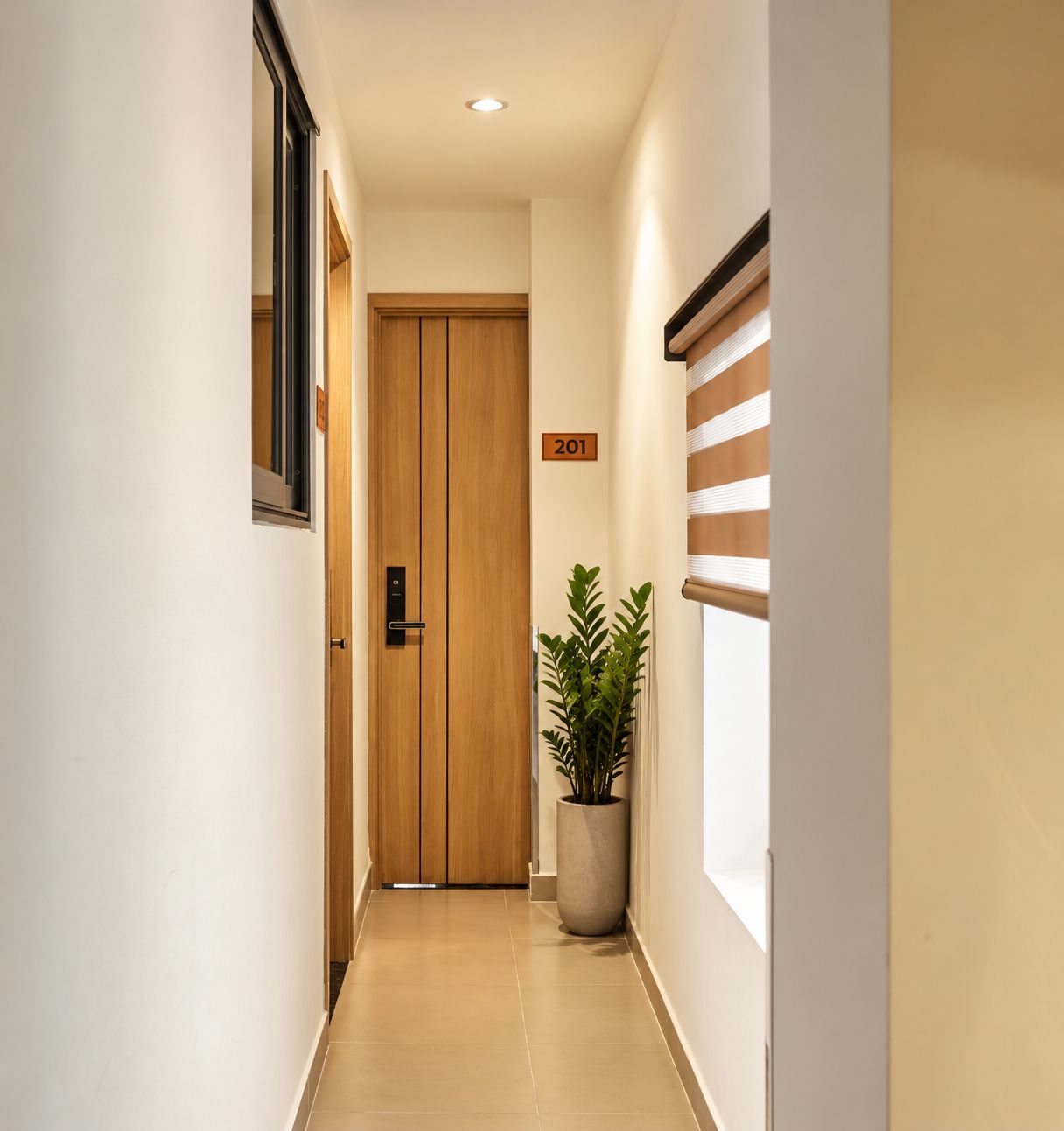 A hallway with a wooden door, a potted plant, and a number sign indicating room 201.