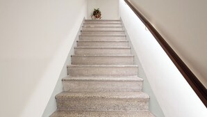 Una escalera con barandilla de madera y una planta pequeña en la parte superior.