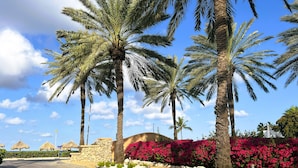 A street lined with palm trees and a building with a stone facade.