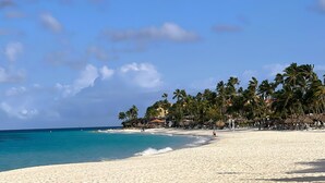 A beach with white sand, clear blue water, and palm trees.