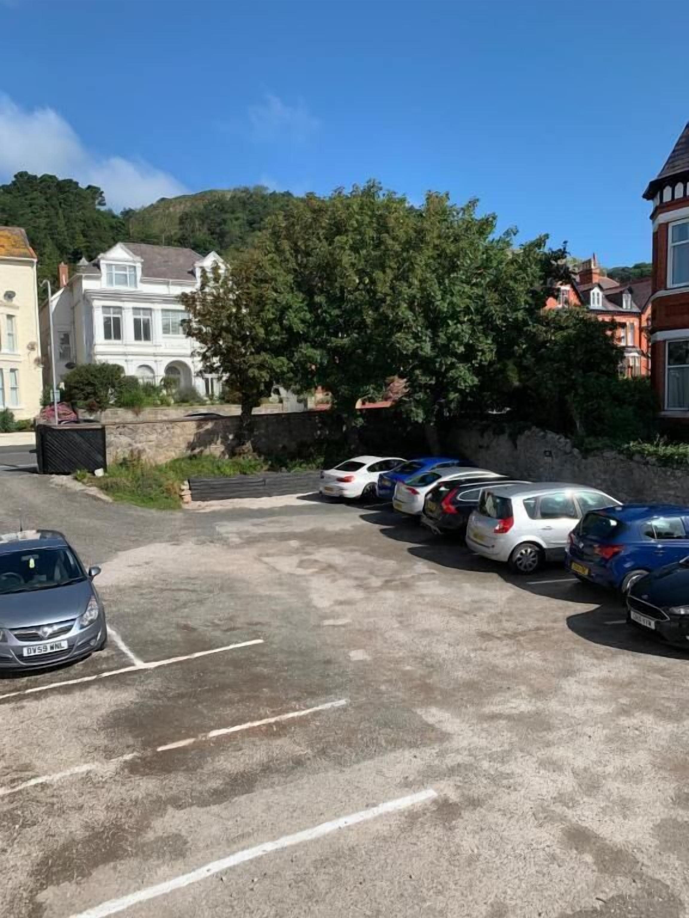 A parking lot with several cars, a stone wall, and a large tree.