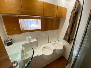 Shower, bidet, towels, soap