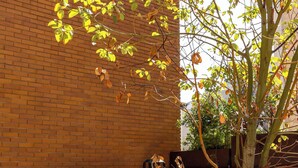 Un espacio de estar al aire libre con asientos acolchados, un árbol en maceta y una pared de ladrillo al fondo.