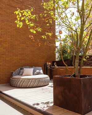 Two-Bedroom Apartment with Terrace | Terraza o patio