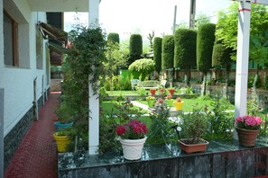 Vườn