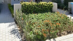 A modern two-story building with a flat roof, large windows, and a small garden area with various plants and flowers. - Sand Castle, Private Villa in Azha, Ain Sokhna (Ataqah)