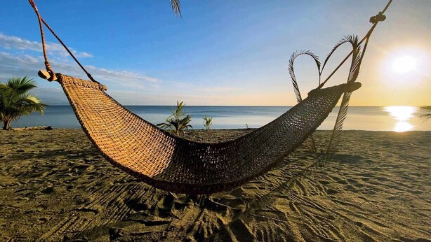 Un'amaca su una spiaggia sabbiosa con palme e l'oceano sullo sfondo.