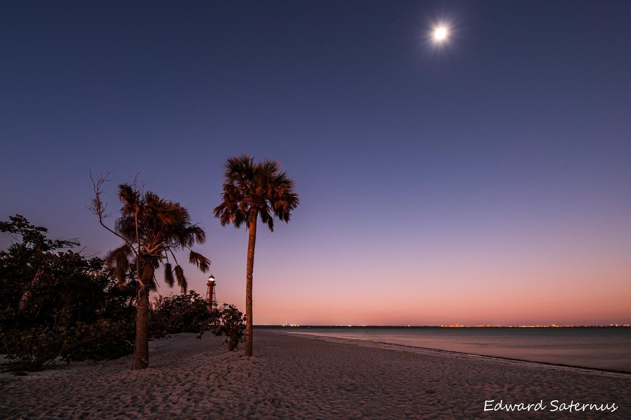 A beach at dusk with palm trees and a clear sky.