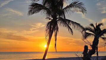 On the beach, sun loungers, beach towels