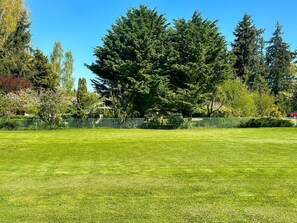 Property grounds - Escape to Sequim, Family Friendly Home, Huge Yard (Sequim)