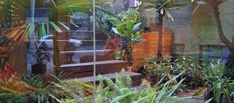 ホテル メトロポール